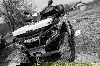 IMG_0229.jpg
