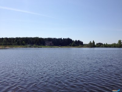 Изображение 1018.jpg