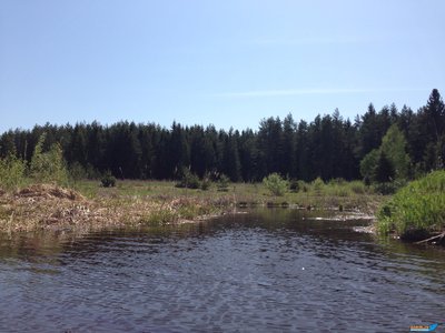 Изображение 1051.jpg