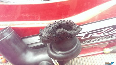 2016-06-13 17-45-05.JPG