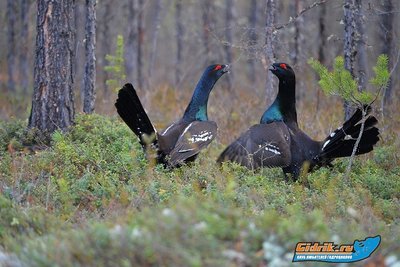 0000 2870.jpg