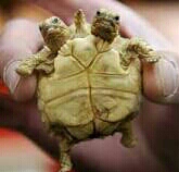 Без названия-1-1-1.jpg