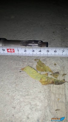 WhatsApp Image 2017-10-27 at 23.57.01.jpeg