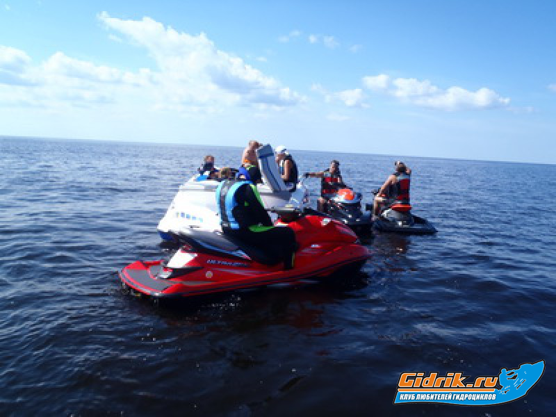 P7310059_новый размер.JPG