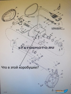 image.jpeg