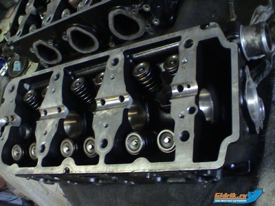 Голова идеал1.JPG