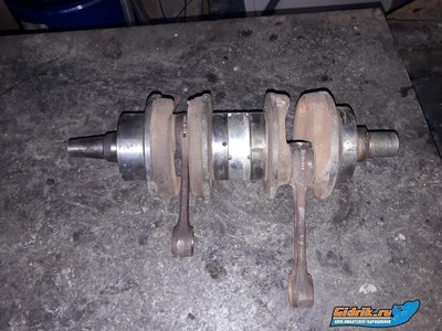 WhatsApp Image 2019-02-08 at 15.27.43.jpeg