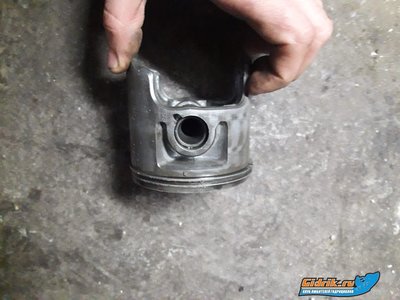 WhatsApp Image 2019-02-08 at 15.27.44.jpeg