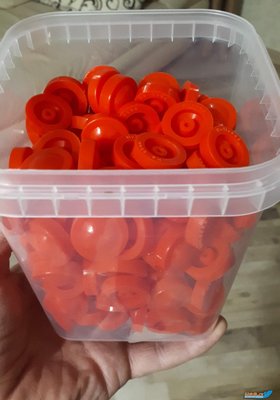 277001887.jpg