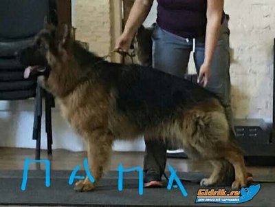 20191231_165916.jpg