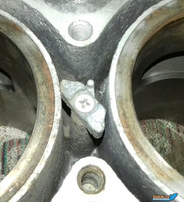 20200425_214127-3.jpg
