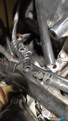 WhatsApp Image 2022-05-04 at 08.21.46.jpeg