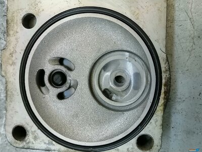 IMG_20220825_154918 (2).jpg