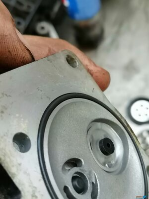 IMG_20220825_155120 (2).jpg