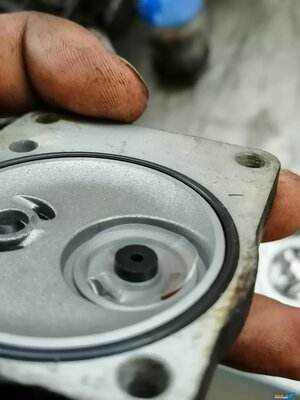 IMG_20220825_155129 (2).jpg