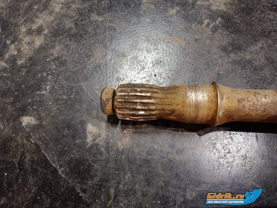 IMG20230926114831 (1).jpg