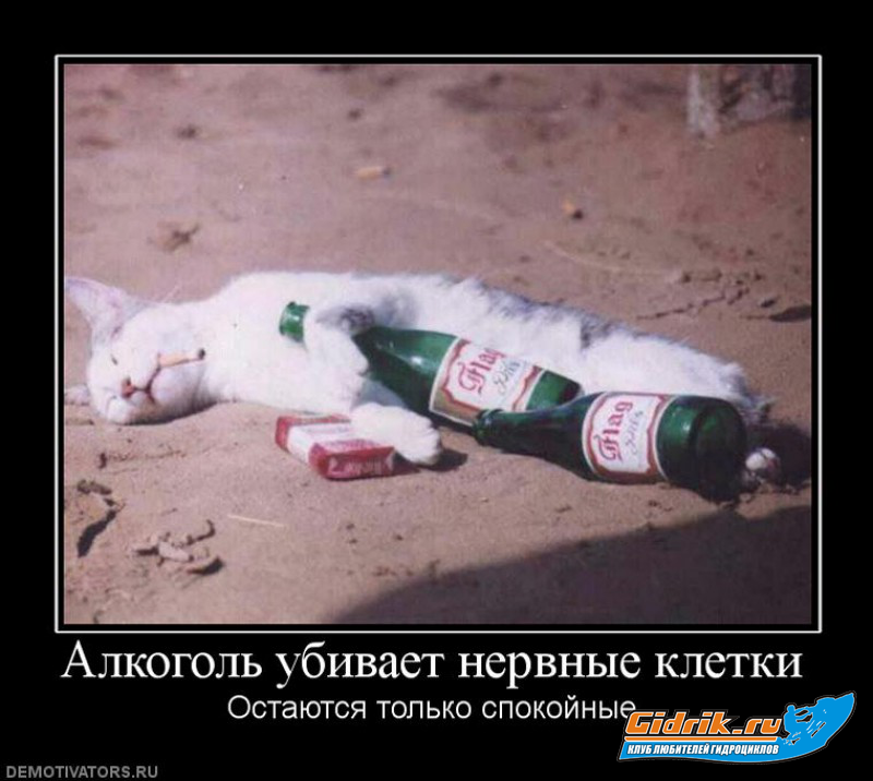 884802_alkogol-ubivaet-nervnyie-kletki.jpg