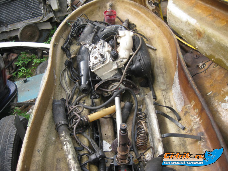 карина и ротакс 003.jpg