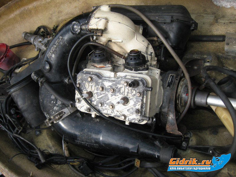 карина и ротакс 002.jpg