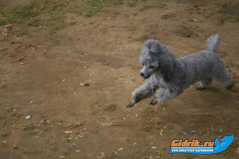 Изображение 431.jpg