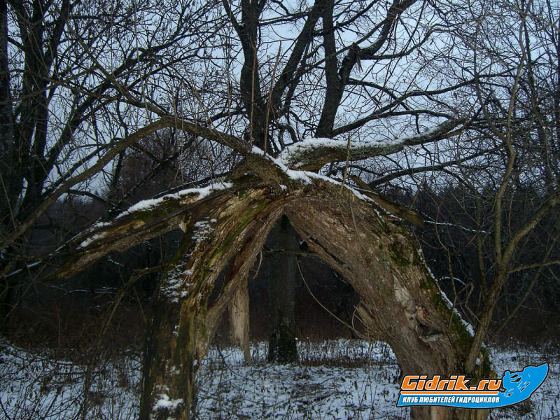 CIMG6402_изменить размер.JPG