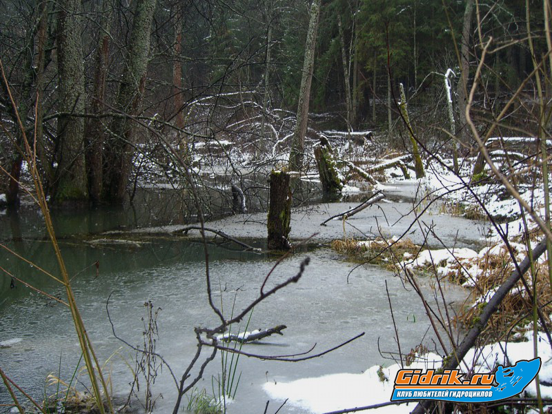 CIMG6427_изменить размер.JPG