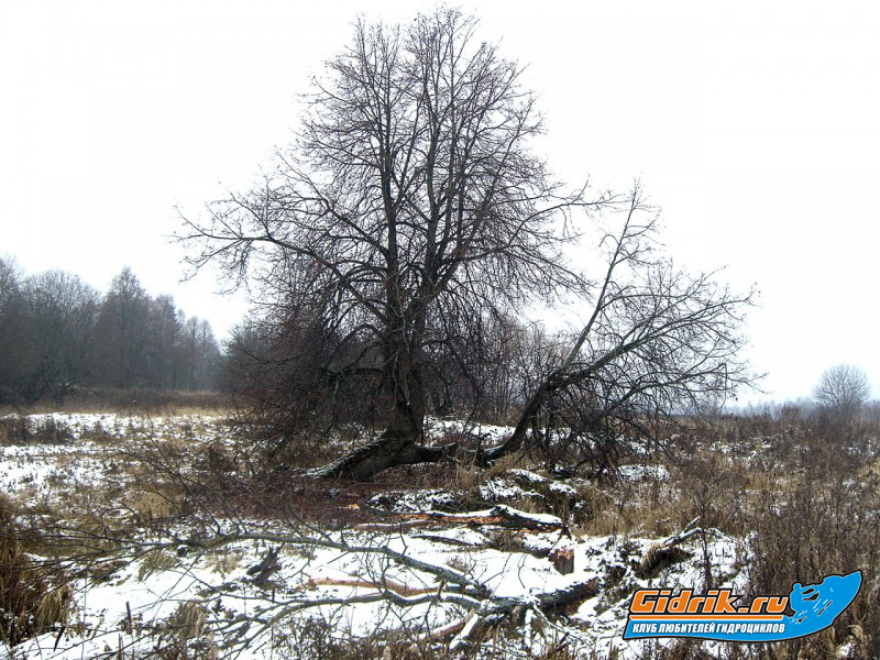 CIMG6453_изменить размер.JPG