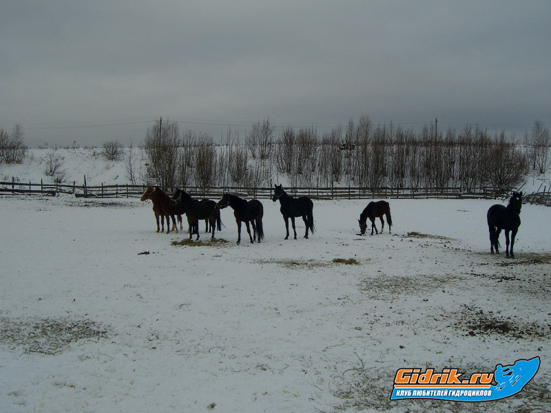 CIMG6731_изменить размер.JPG