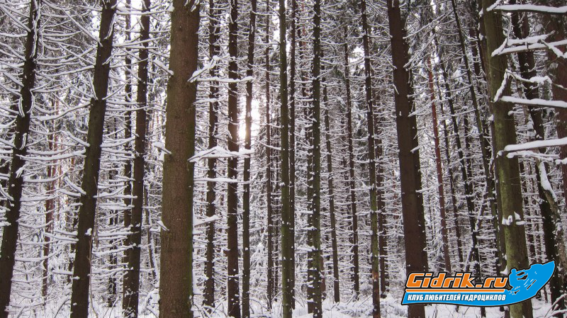 IMG_3512_изменить размер.JPG