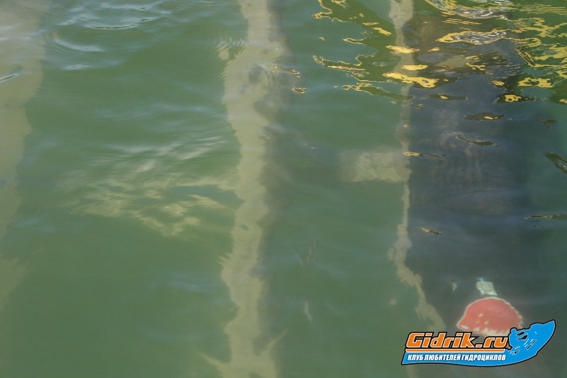 IMG_8424_новый размер.jpg