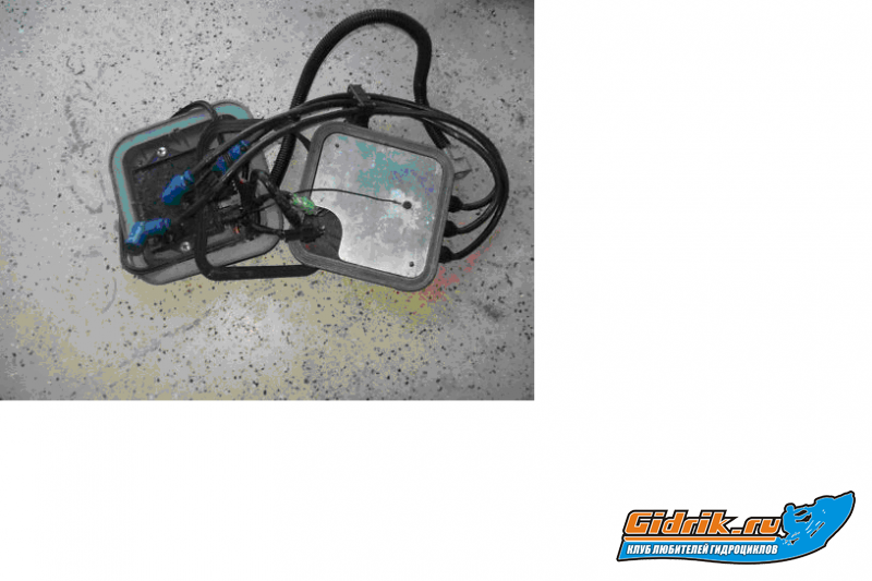 мозги на кавасаки.png